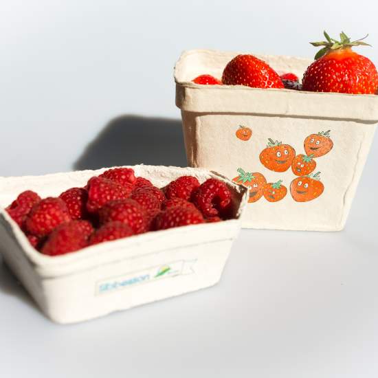 product/1536307422_3.-beh-llare-fiber-berigard-hallon-jordgubbar
